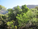 photo thumbnail #9