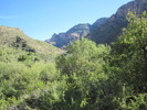 photo thumbnail #10