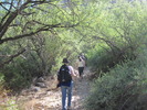 photo thumbnail #11