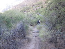 photo thumbnail #12