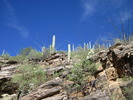 photo thumbnail #14