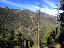 photo thumbnail #9