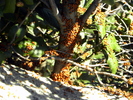 photo thumbnail #11