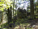 photo thumbnail #6