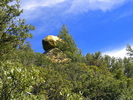 photo thumbnail #7