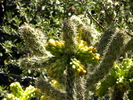 photo thumbnail #9