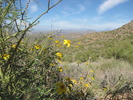 photo thumbnail #1