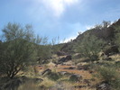 photo thumbnail #3