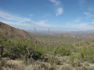 photo thumbnail #6