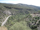photo thumbnail #4