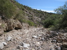 photo thumbnail #6