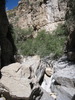 photo thumbnail #10