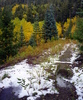 photo thumbnail #1