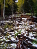 photo thumbnail #7
