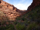 photo thumbnail #15