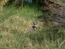 photo thumbnail #11