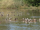 photo thumbnail #13