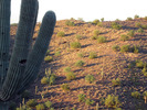 photo thumbnail #5