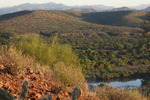 photo thumbnail #6