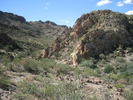 photo thumbnail #1