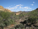 photo thumbnail #3