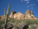 photo thumbnail #8