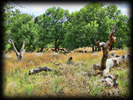 photo thumbnail #7