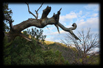 photo thumbnail #11