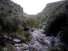 photo thumbnail #10