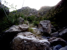 photo thumbnail #15
