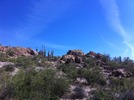 photo thumbnail #1