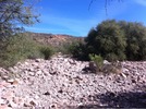 photo thumbnail #4