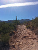 photo thumbnail #6