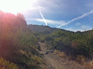 photo thumbnail #12