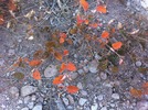photo thumbnail #15