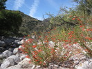 photo thumbnail #9