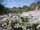 photo thumbnail #11