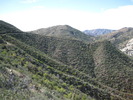 photo thumbnail #8