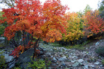 photo thumbnail #5