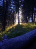photo thumbnail #8