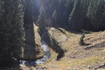photo thumbnail #7