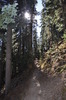 photo thumbnail #10