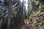 photo thumbnail #11