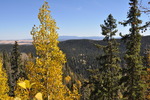 photo thumbnail #15
