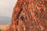 photo thumbnail #4