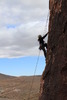 photo thumbnail #15