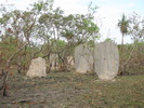 recent photo