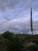 photo thumbnail #12