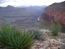 photo thumbnail #14