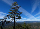 photo thumbnail #12